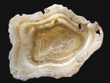 Load image into Gallery viewer, Handmade Onyx Bowl Honey
